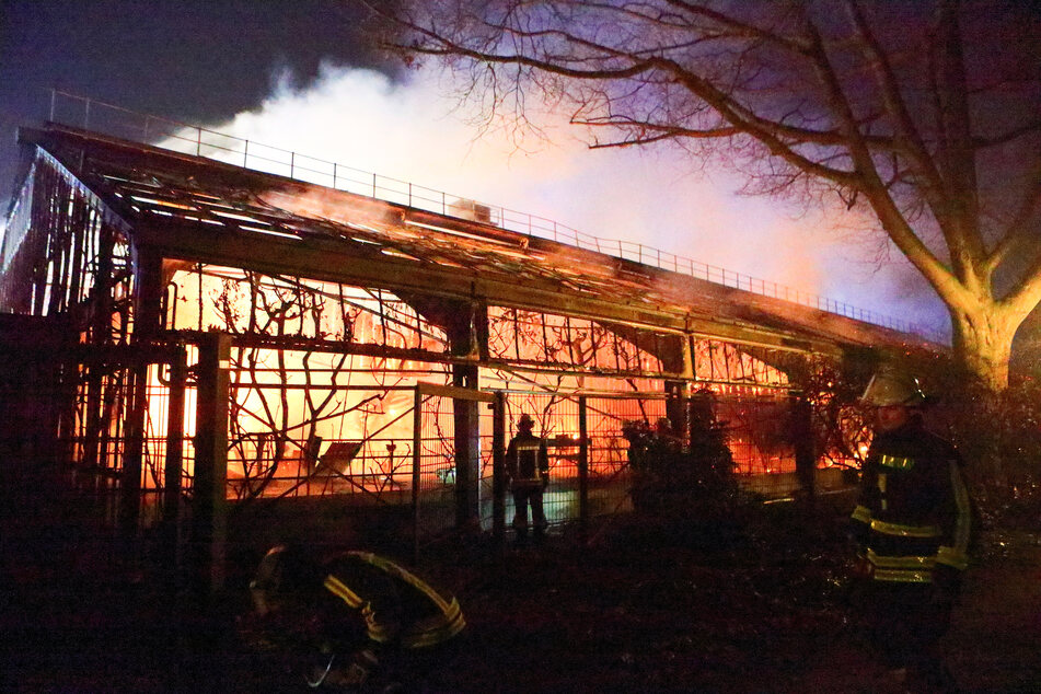 Feuerwehrleute stehen nach Löscharbeiten vor dem Affenhaus im Krefelder Zoo. (Archivbild)