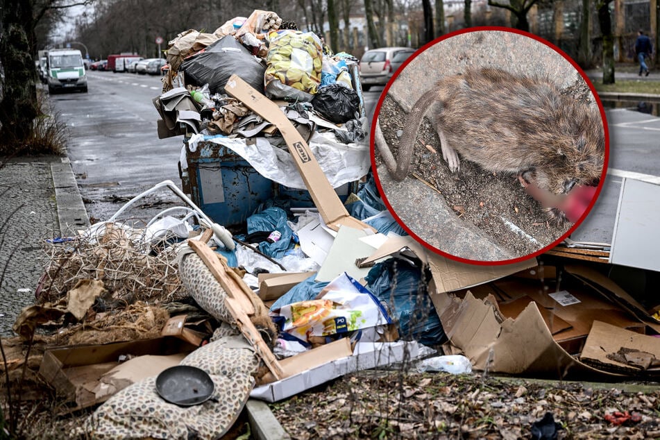 Müll-Chaos verursacht Millionen-Kosten: Berlin steht vor dem Dreck-Kollaps