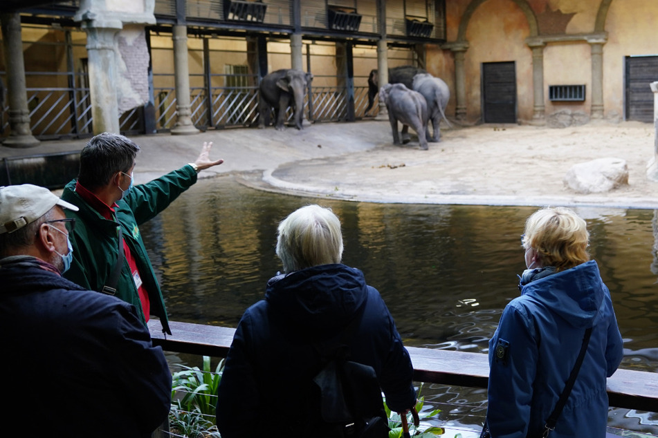 "Altern im Tierreich": Tierpark Hagenbeck bietet Sonderführungen für Senioren an