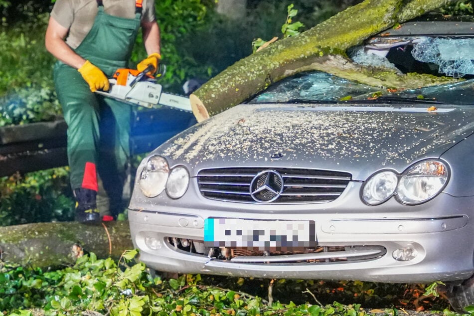 Auf der B44 bei Langen in Südosthessen wurde ein Mercedes von einem umgestürzten Baum getroffen.