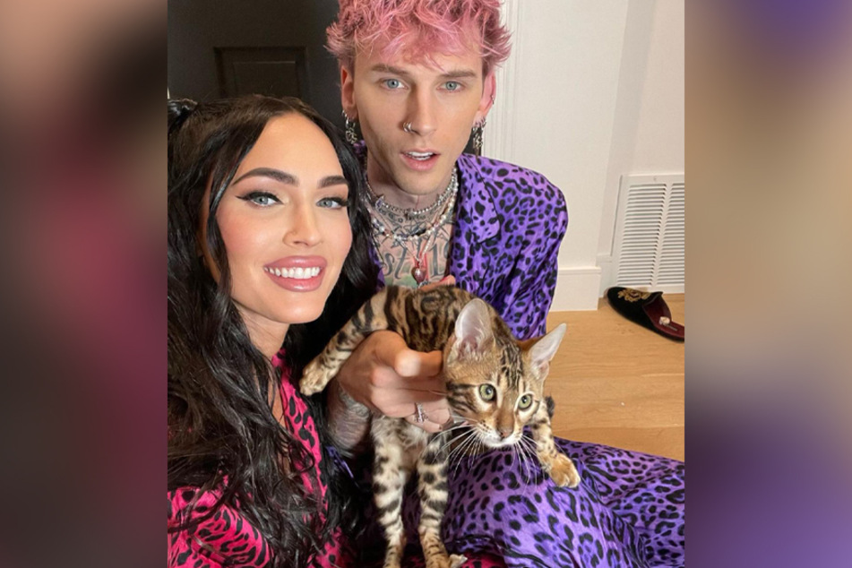 Machine Gun Kelly and Megan Fox's new kitten made a cameo at the beginning of the music video for ay!