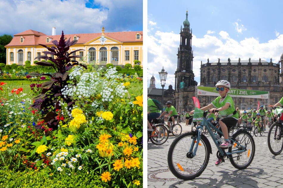 Dresden: In Dresden und Umgebung könnt Ihr am Sonntag jede Menge erleben