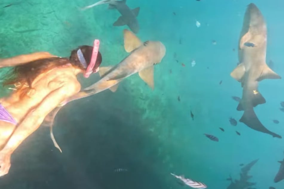 Hier ist noch alles gut: Schnorchlerin Tayane Dalazen (36) inmitten von Haien.