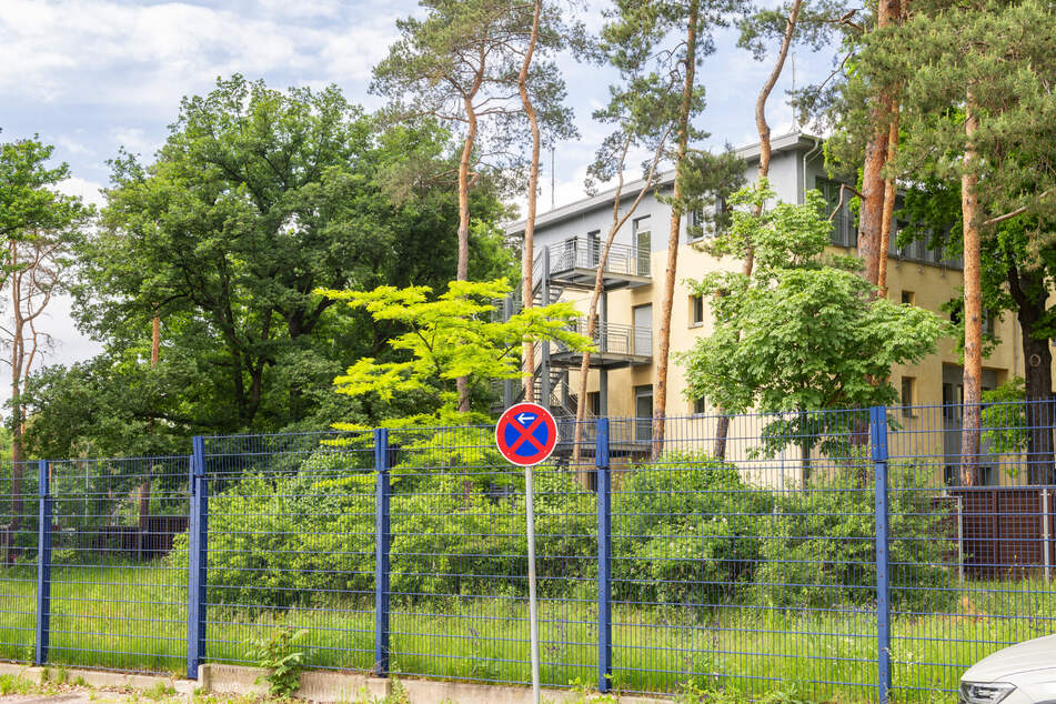 Hinter hohen Sicherheitszäunen liegt das Behördenareal, auf dem ein Wäldchen und Büsche Rückzugsorte bieten.