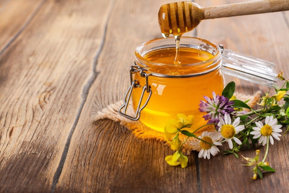 Wusstest Du, dass man aus Gänseblümchen Honig machen kann?