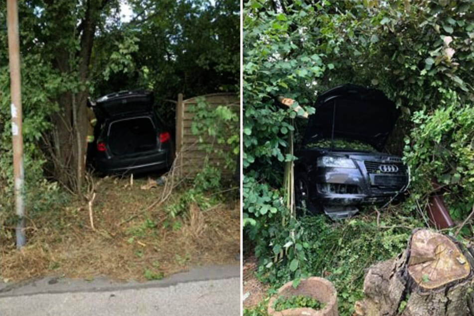 Der Audi hat einen Zaun durchbrochen und ist in einer Hecke zum Stillstand gekommen. (Fotomontage)