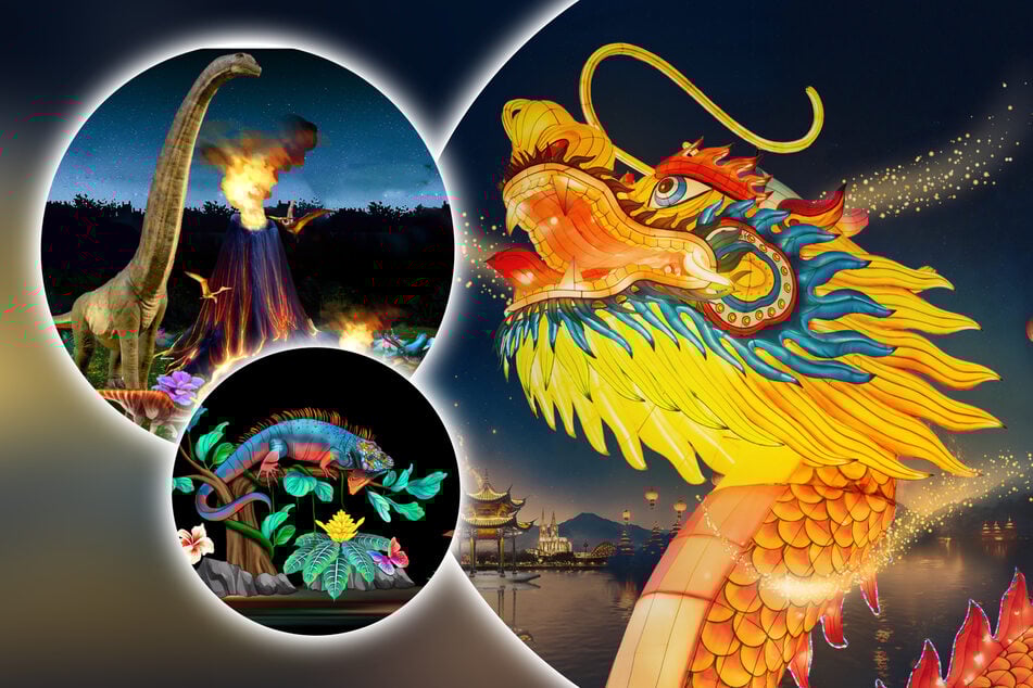 Winterzauber im Kölner Zoo: Dieses Licht-Spektakel dürft Ihr nicht verpassen