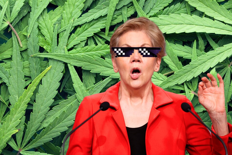 In a recent interview, Senator Elizabeth Warren revealed that she would choose Dwayne "The Rock" Johnson as the only member of her "dream blunt rotation."