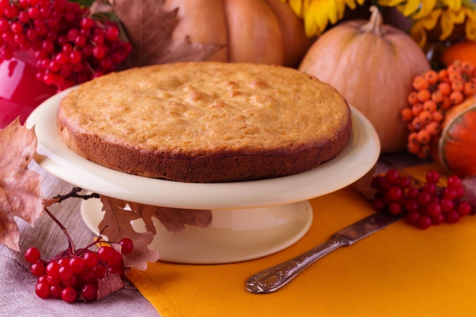 Ein saftiger Kürbiskuchen kann mit vielen Kürbissorten gut gelingen.