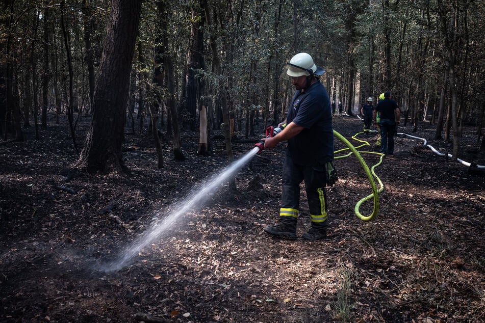 War es Brandstiftung? Staatsanwaltschaft gibt neue Details zum verheerenden Hürtgenwald-Brand bekannt