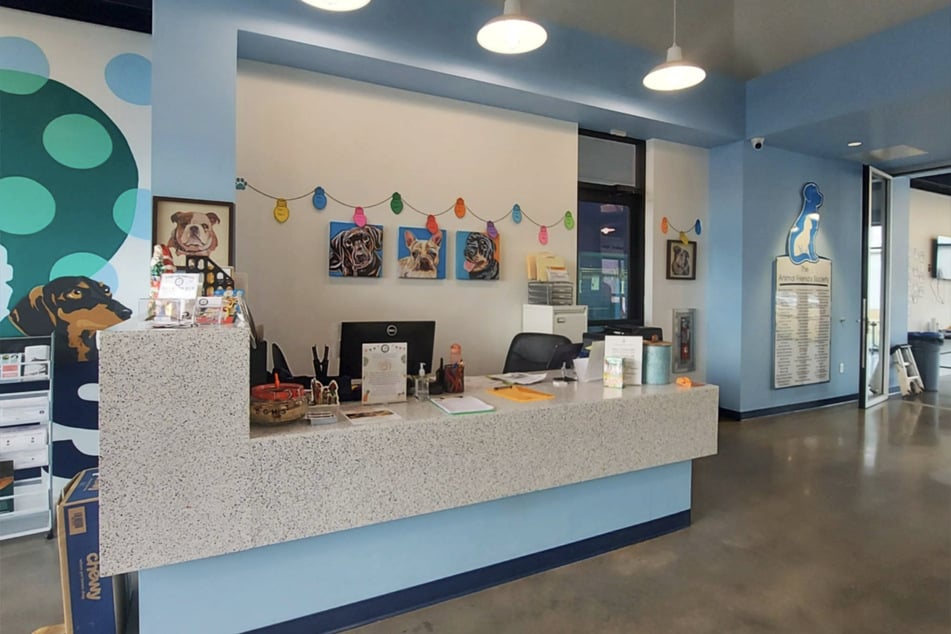 Die Mitarbeiter des Tierheims im US-Bundesstaat South Carolina kümmern sich nun liebevoll um die ausgesetzte Queeni.