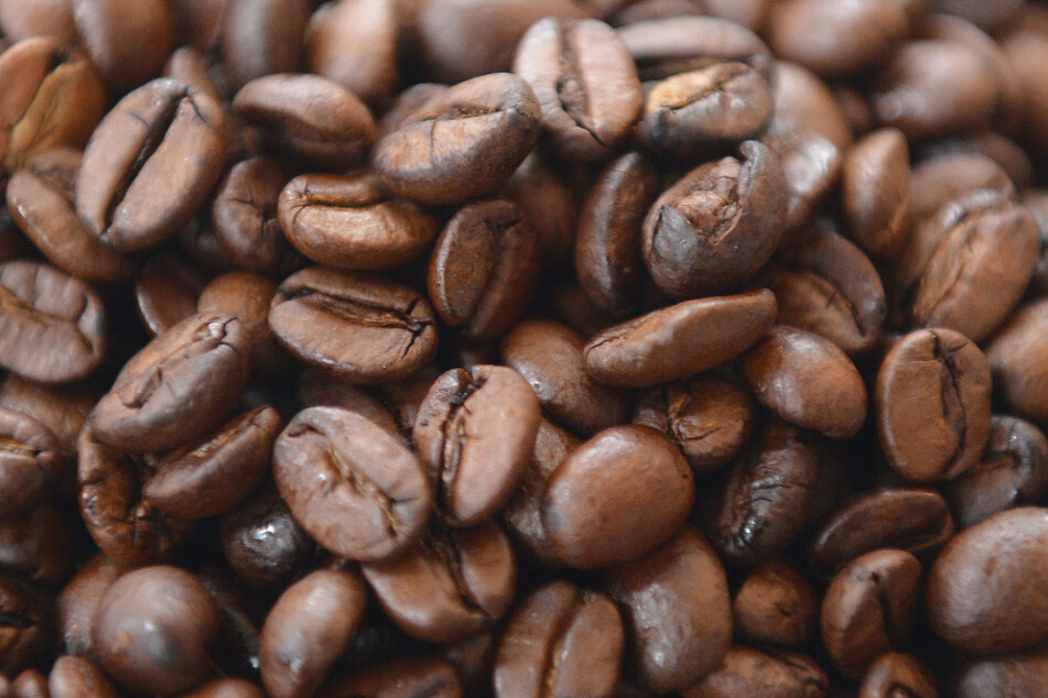 Besonders die ganze Bohne ist wieder gefragt. Ihr Absatz im Lebensmitteleinzelhandel und Onlinehandel stieg um 15 Prozent. Für 2020 blickt der Verband positiv in die Zukunft und rechnet damit, dass Kaffee auch nach der Corona-Krise das Lieblingsgetränk der Menschen in Deutschland sein wird.