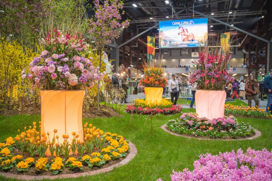 Die Chemnitzer Messe leitet den Frühling ein.