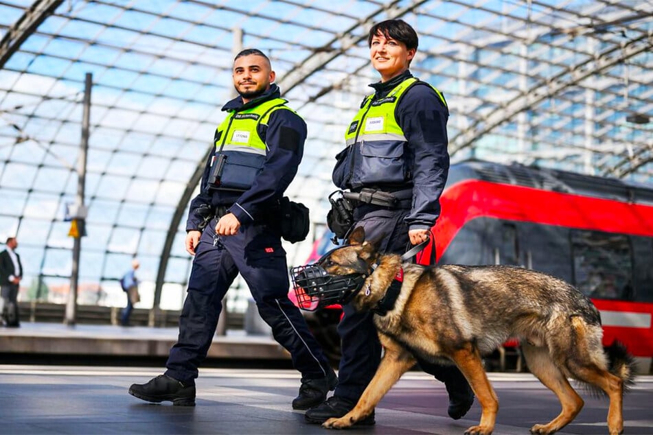 Sorge für Sicherheit und Ordnung mit Deinem Vierbeiner als Diensthundeführer im Sicherheitsdienst (m/w/d).