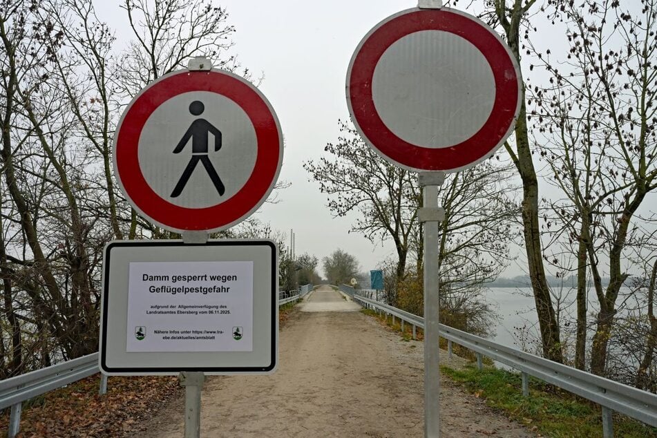 Die Vogelgrippe breitet sich seit einigen Wochen in Deutschland immer weiter aus.