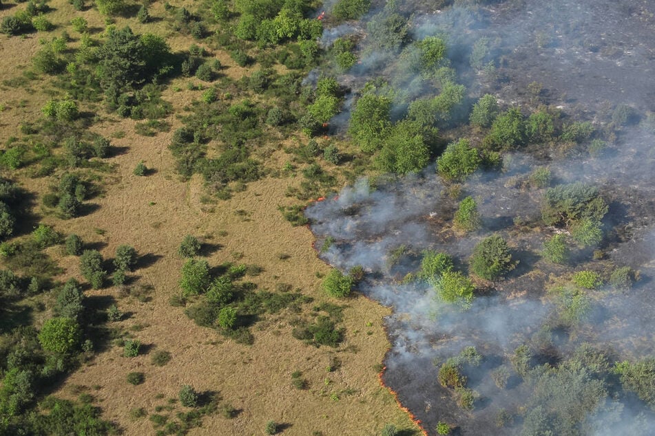 Das Feuer frisst sich langsam über den Boden. Zur Eindämmung werden die Randflächen immer wieder gewässert.