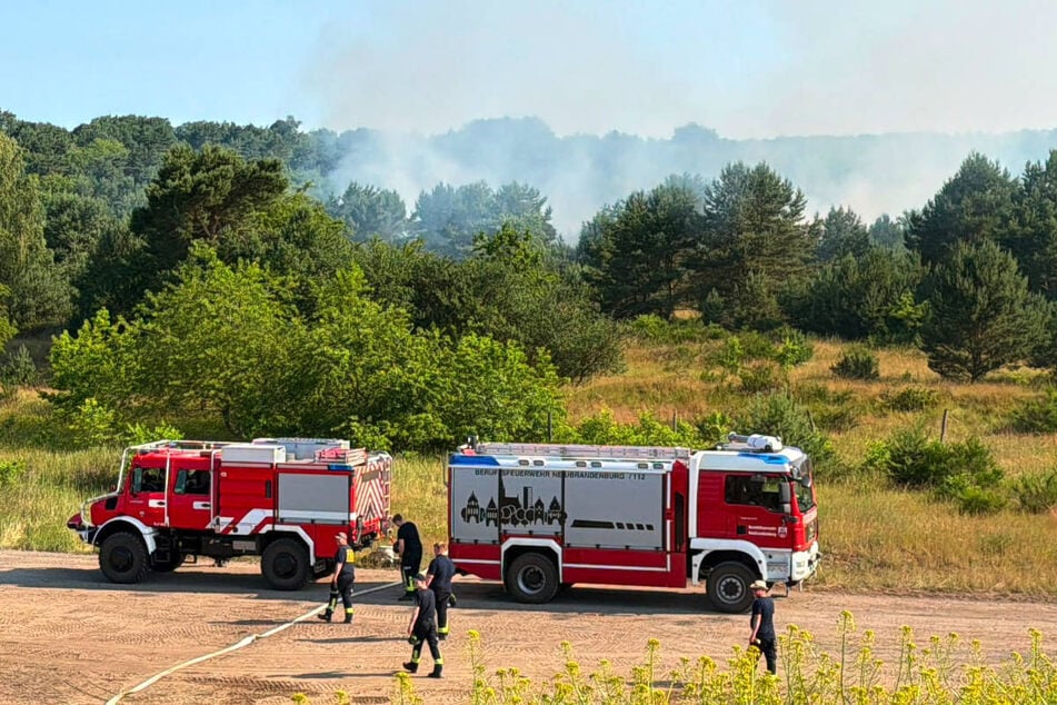 Rund 160 Einsatzkräfte sind rund um den Truppenübungsplatz bei sengender Hitze im Einsatz.