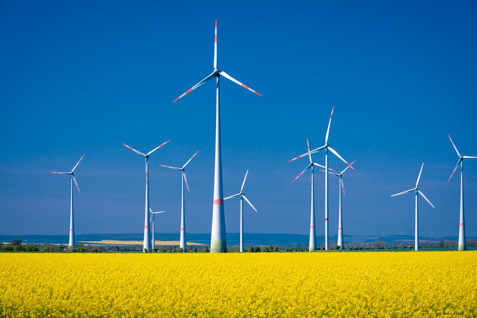 Auch der Bereich erneuerbare Energien gehört zur Zukunftsstrategie in Sachsen-Anhalt.