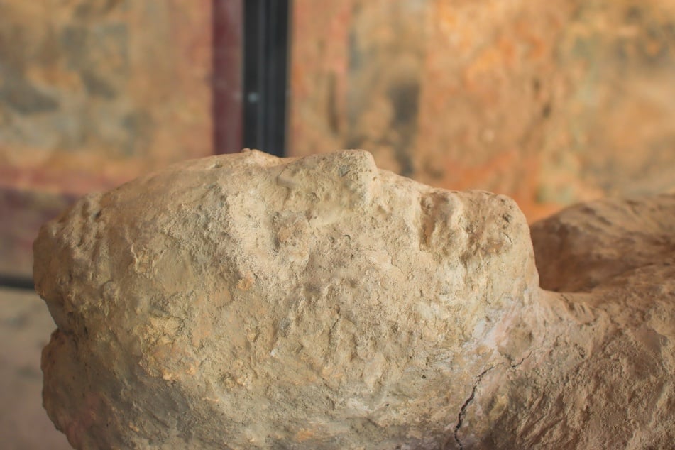 A 2500-year-old Siberian "ice mummy" was revealed to have intricate tattoos covering much of her body. (Stock image)