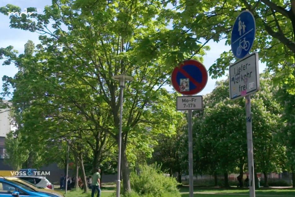 Das Schild zeigt eindeutig, dass von Montag bis Freitag von 7 bis 17 Uhr ein Parkverbot gilt - wenn man es denn sieht.