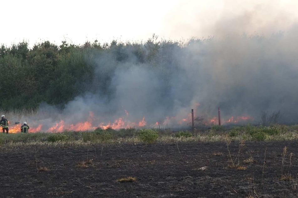 In Leipzig konnte die Feuerwehr verhindern, dass ein Feldbrand auf den Wald übergreift.