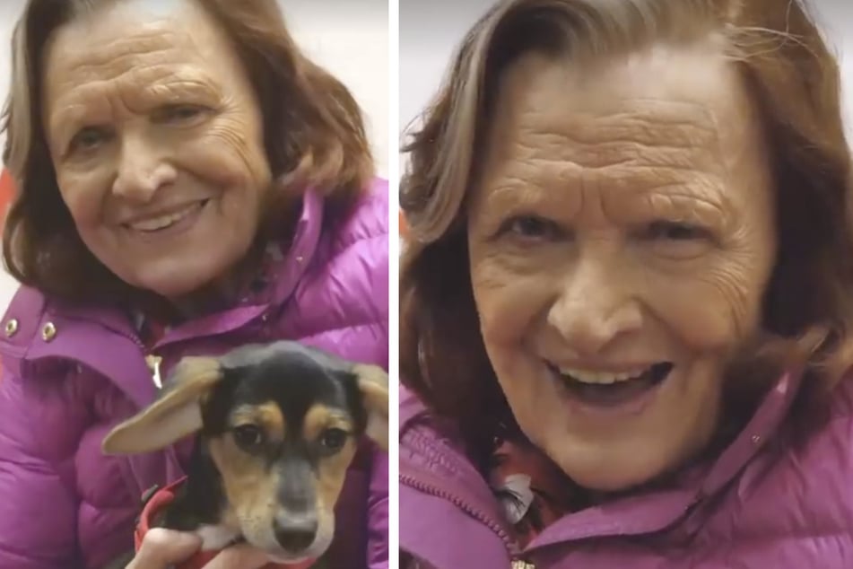 Brigitte Antonius (88) ist die Freude über ihren neuen Hund anzusehen.