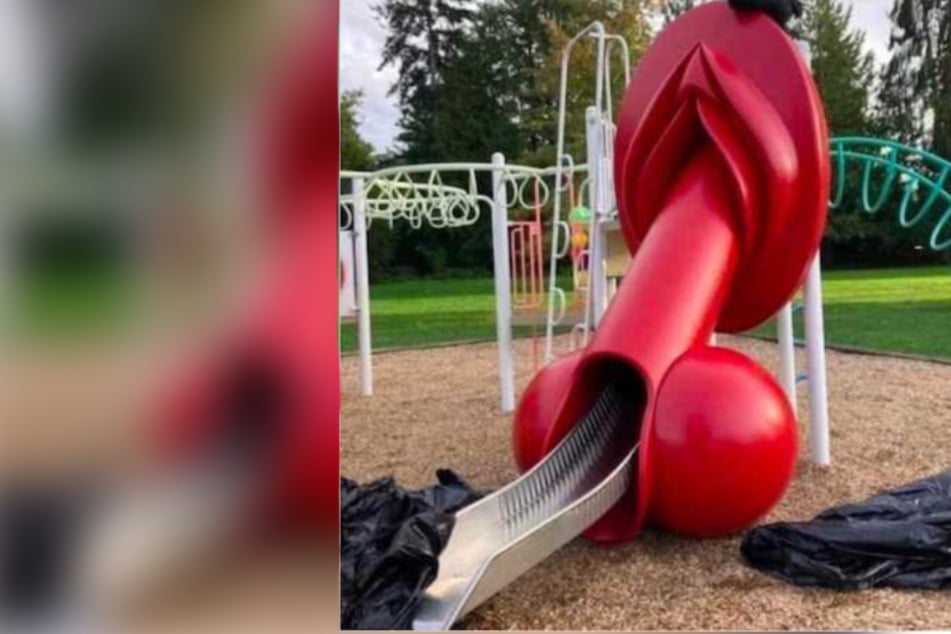 Knallrote Penis-Rutsche auf Kinderspielplatz: Steht sie wirklich in Deutschland?