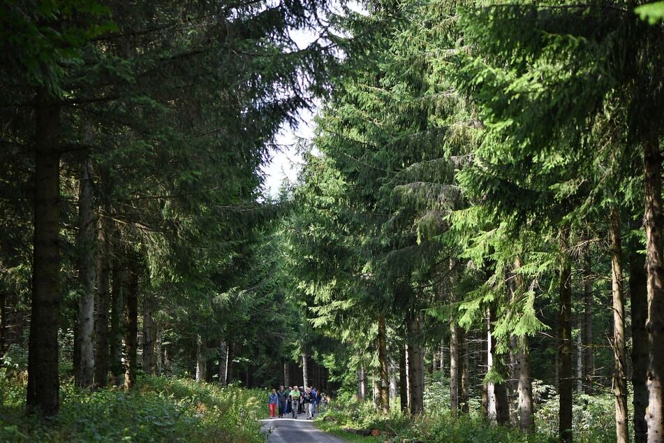 In Teilen Thüringens gilt die höchste Waldbrandgefahrenstufe.