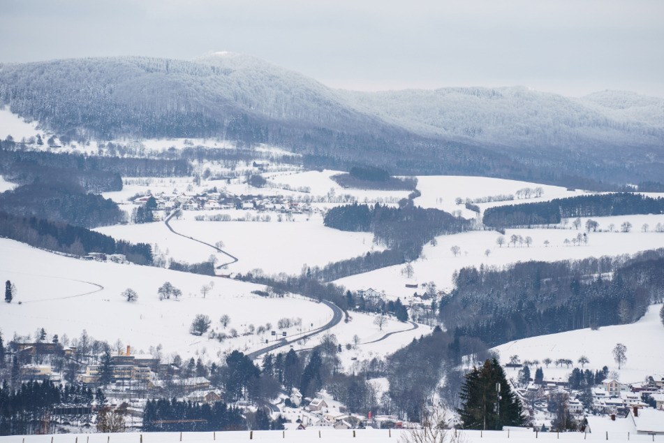 Der Eiszeitkäfer wurde in der Rhön entdeckt.