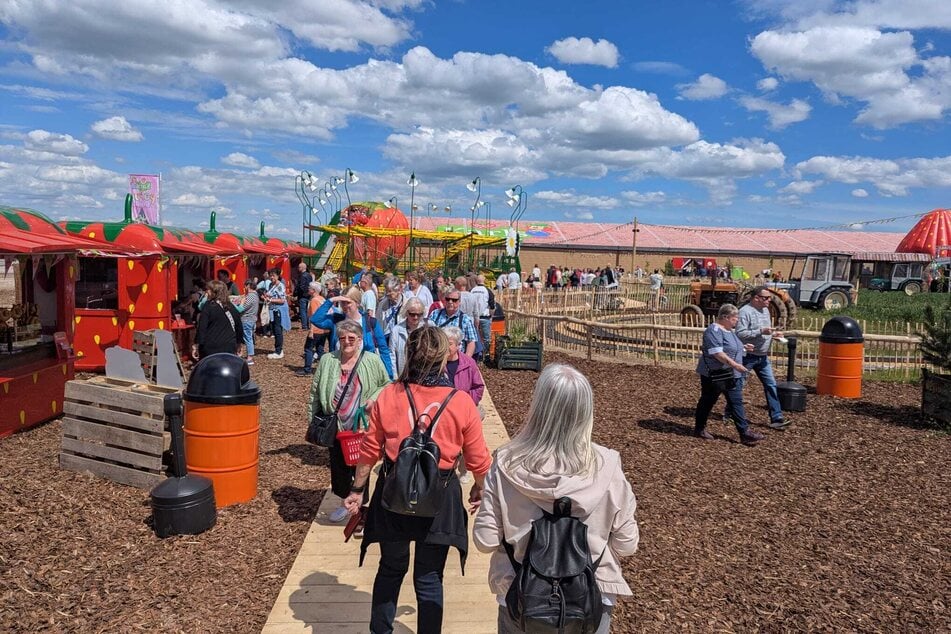 Bereits am Montag dürften Wernigeröder das "Pop-up-Festival" erkunden.