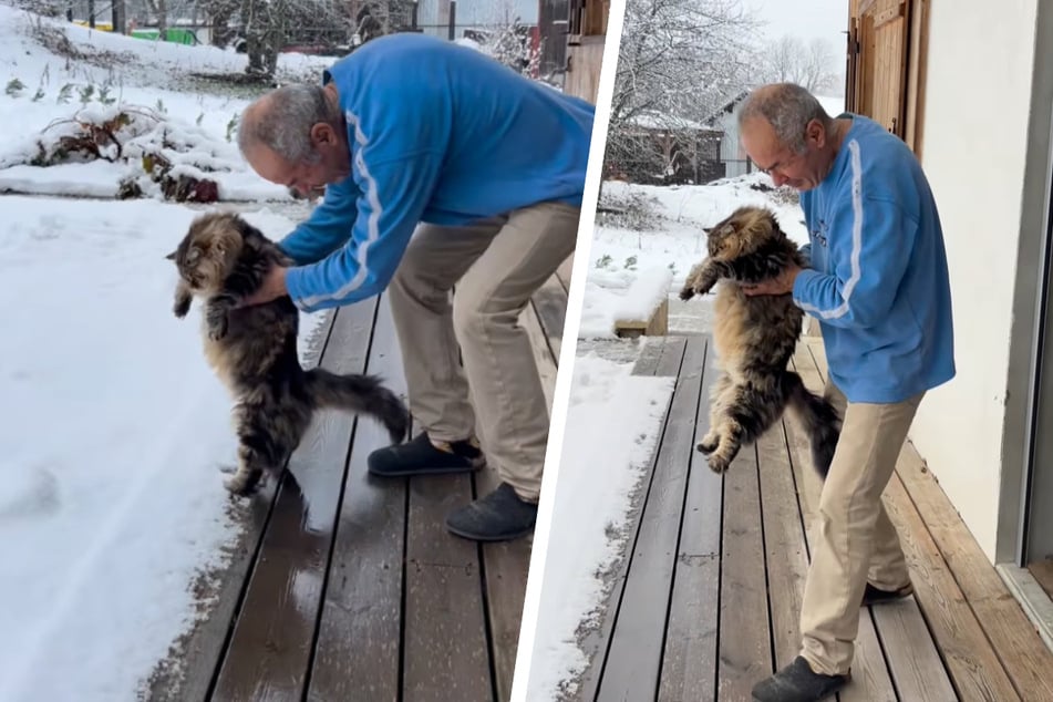 Paar zeigt seiner Katze zum ersten Mal Schnee: Mit dieser Reaktion haben sie nicht gerechnet