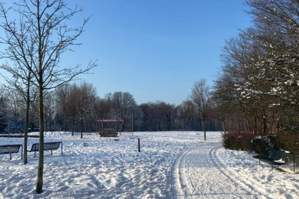 Ein Traum in Weiß: Kölner Parks wurden in den letzten Tagen von einer Schneedecke bedeckt.