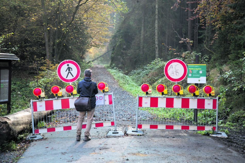 Ende Gelände - noch immer sind über 40 Kilometer Wanderweg im Nationalpark gesperrt. Die Sperrung insgesamt ist jedoch aufgehoben.