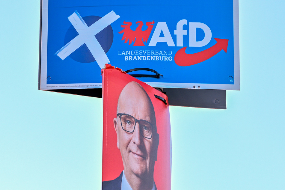 In den jüngsten Umfragen konnten AfD und SPD ähnliche Zustimmungswerte für sich verbuchen.