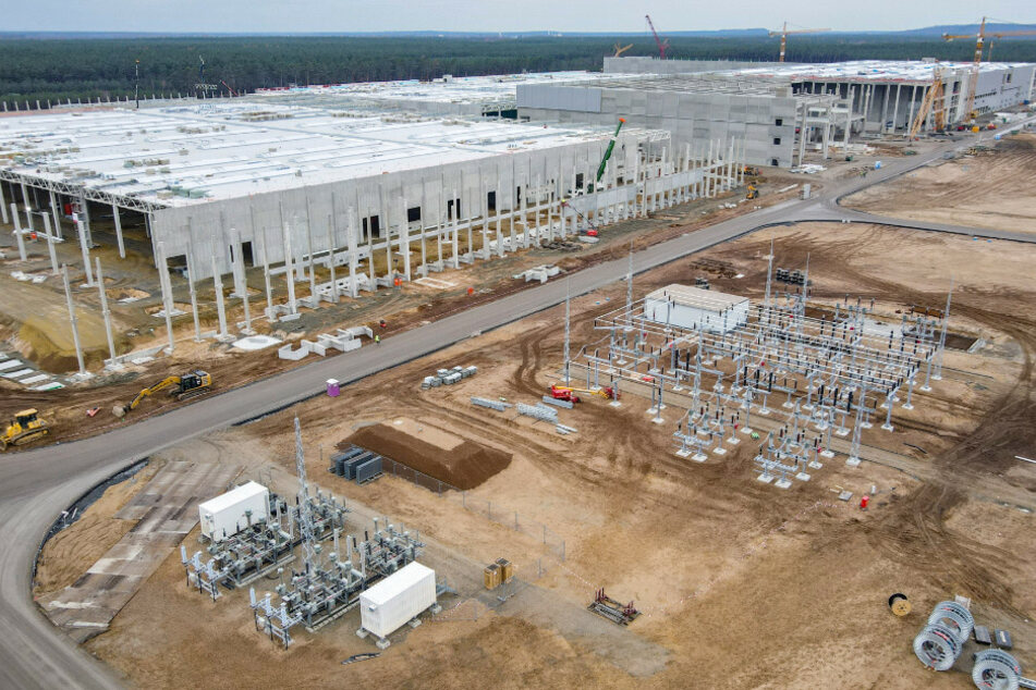 Nächste Schlappe für Tesla: Gericht stoppt erneut Rodung für Gigafactory
