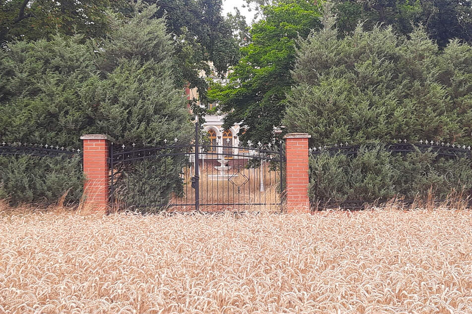 Auf diesem Feld hinterm Schloss wurde der schlafende Einbrecher samt Beute entdeckt.