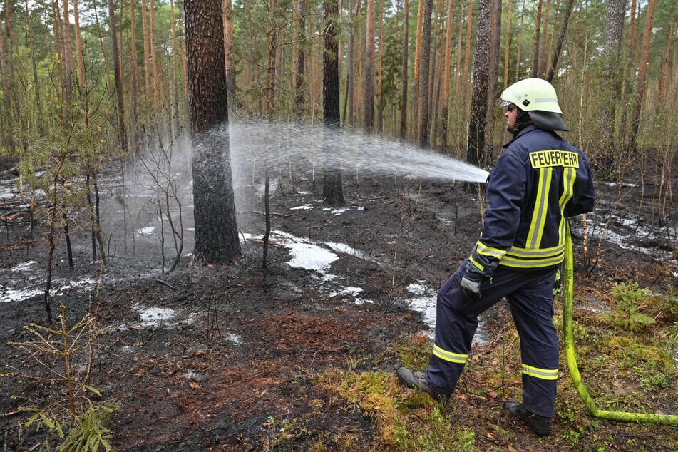 Die Waldbrandgefahr steigt in Sachsen-Anhalt. Hoffentlich muss die Feuerwehr nicht eingreifen... (Symbolbild)