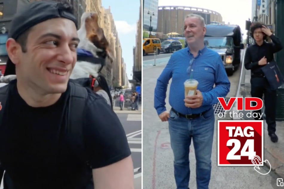 viral videos: Viral Video of the Day for August 9, 2024: Dog becomes "Awoobulance" and clears the way in NYC!