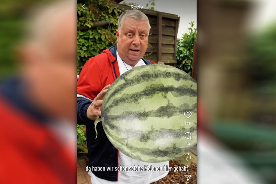 Welche Ausmaße die Melonen in seinem Garten bereits erreicht haben, wurde in dem Video anschaulich dargestellt.