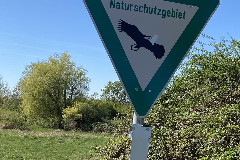 Selbst Hinweisschilder sind vor den unbekannten Randalierern nicht sicher.