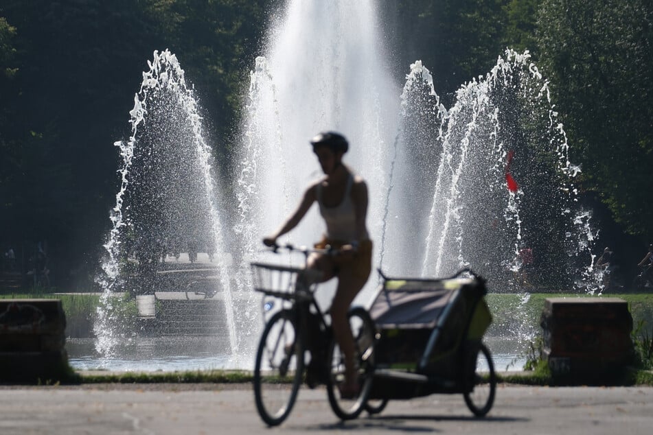 Bei der Fahrrad-Schnitzeljagd geht es raus ins Grün. (Symbolbild)