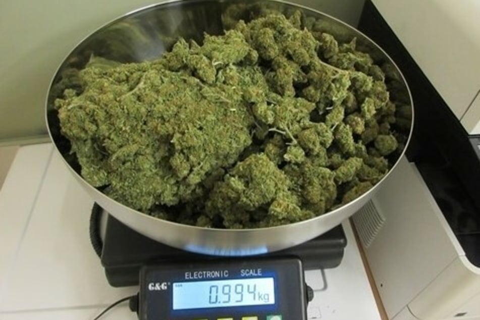 Das Marihuana wurde abgewogen und brachte schlussendlich 2,5 Kilogramm auf die Waage.
