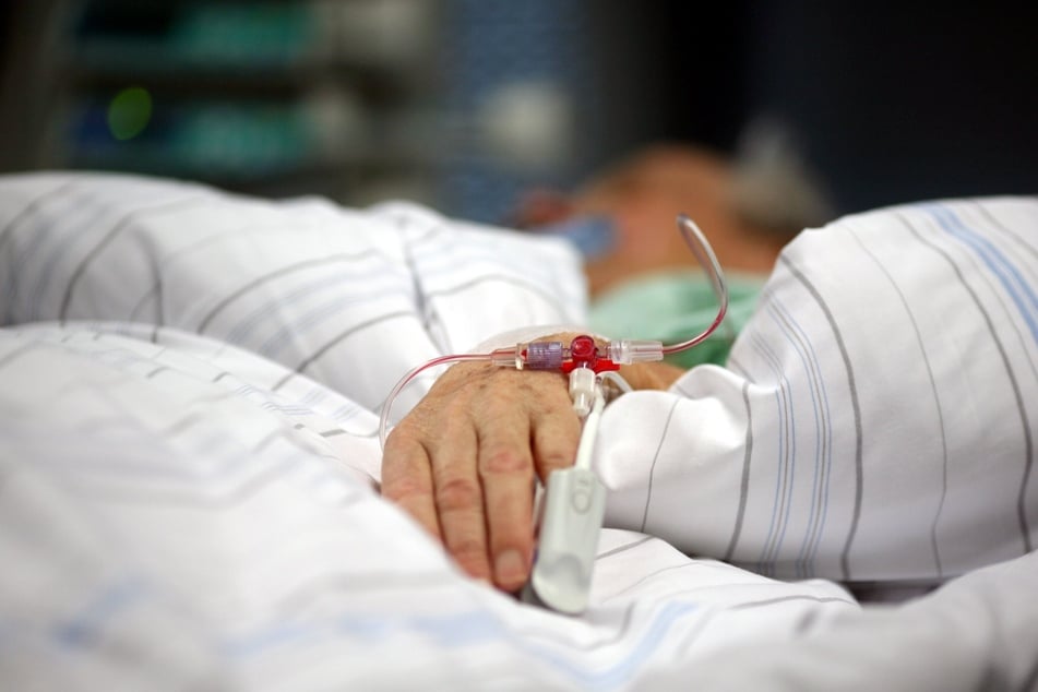 In Bayern hat das Borna-Virus ein weiteres Todesopfer gefordert. (Symbolfoto)