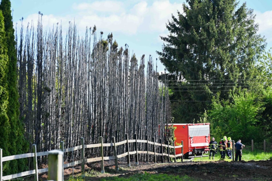 Die Feuerwehr konnte ein weiteres Ausbreiten der Flammen schnell verhindern.