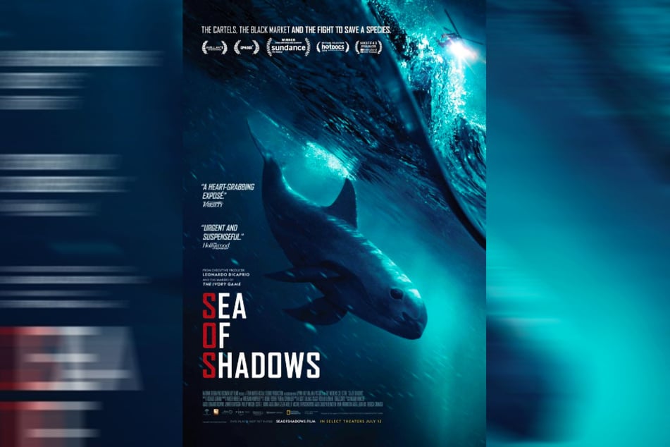 Der preisgekrönte Dokumentarfilm "Sea of Shadows" soll die Welt aufrütteln.
