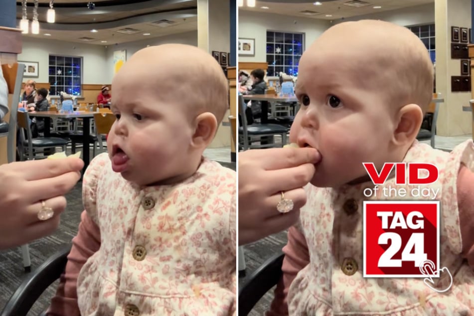 viral videos: Viral Video of the Day for January 27, 2026: Baby's first lemon taste ends in a hilarious pucker