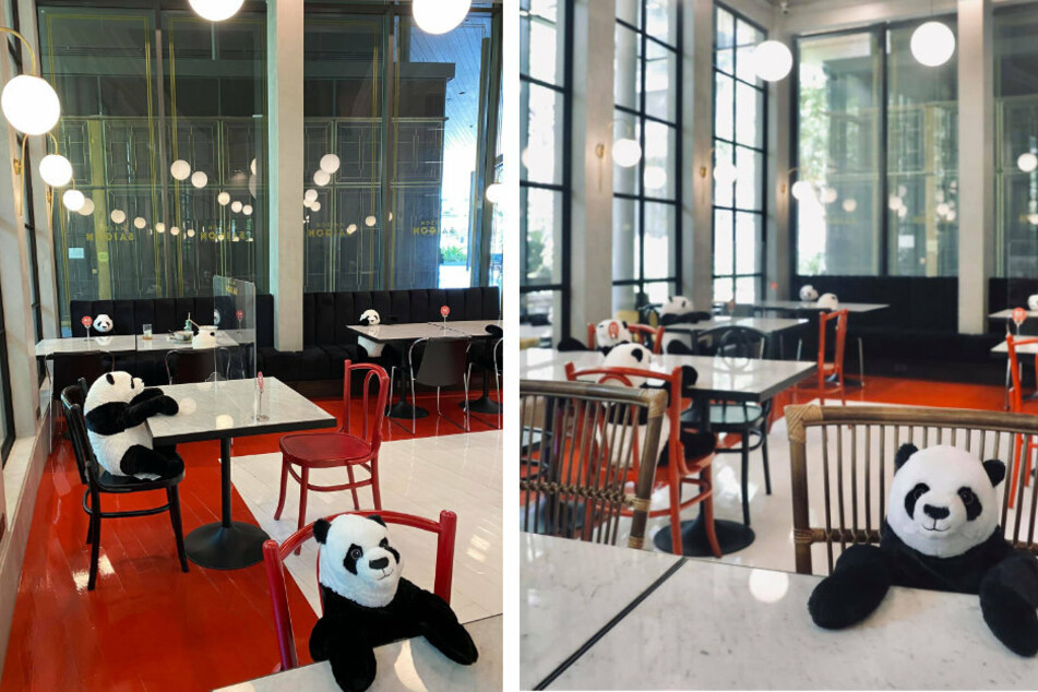 Pandabären, soweit das Auge reicht! In Gesellschaft der niedlichen Stofftiere schmeckt das Essen wohl doppelt so lecker.