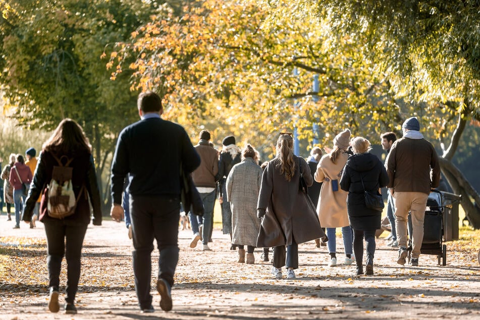Am Donnerstag lockt das gute Wetter in NRW zu einem Herbst-Spaziergang.