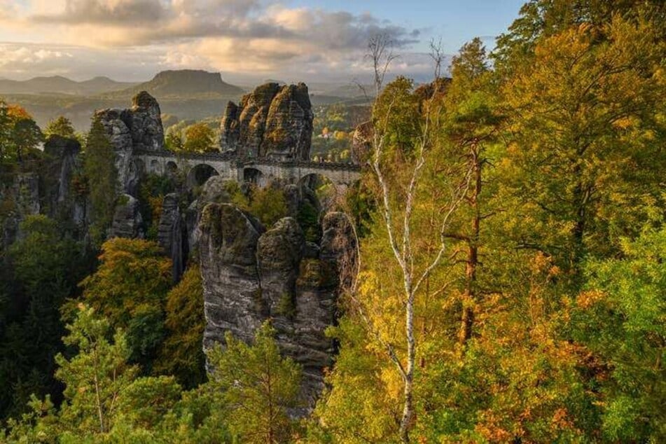 Durch das regnerische Wetter werden die Wege in der Sächsischen Schweiz rutschiger - und somit auch gefährlicher.