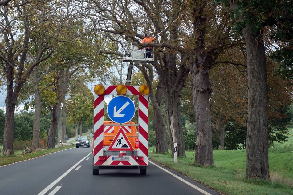 Der Freistaat hat zu lange bei Staats- und Bundesstraßen gespart, sagen Sachsens Landräte. Viele seien in schlechtem Zustand. (Symbolbild)